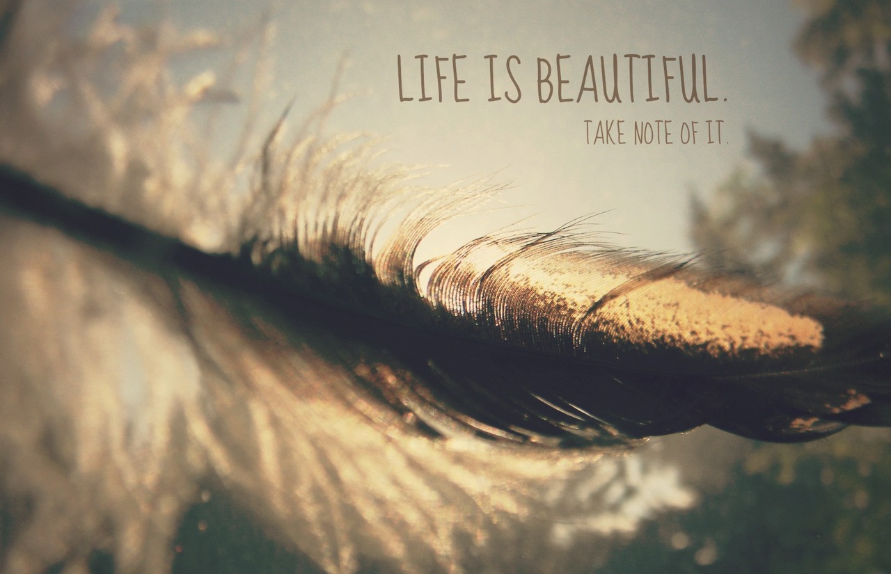 Beautiful Life Quotes 109